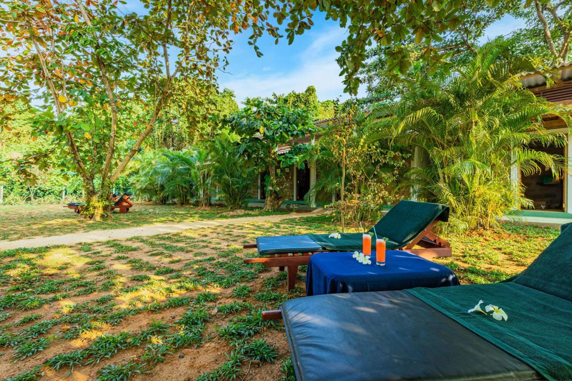 Sath Villa Naadi Ayurveda Resort Moragalla المظهر الخارجي الصورة